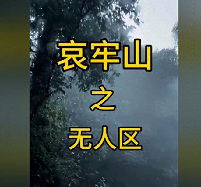 后续！被调查后发文道歉账号已搜不到凯发体育赞助苗疆大祭司独闯哀牢山(图15)